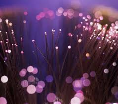 24988663162_06e5efc37f_o_d