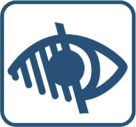 handicap-visuel