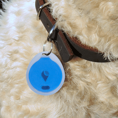 trackr-bravo-pet-collar-attachment-e9555ad4ebad3c7c64f0639228516cbe