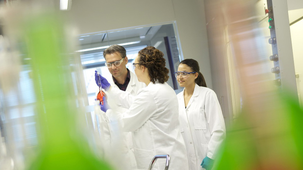 lab-scientists-green-art