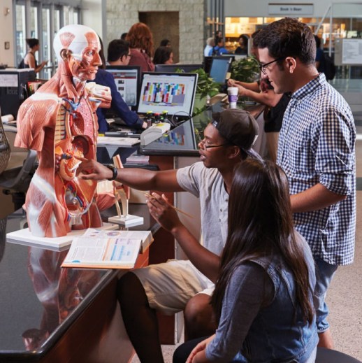 33638524156_28a0b47cbf_b_d