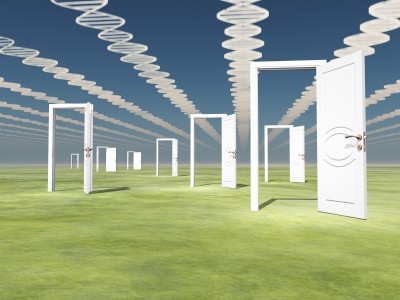 x1455047546971-pagespeed-ic-ouvqvtp5yv