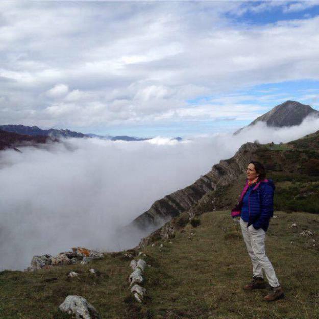 33702637821_17f0cb1353_o_d