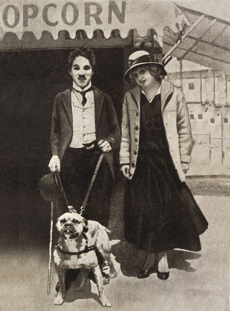 a42d65059fc7818b62ba6aedcd8ecc10