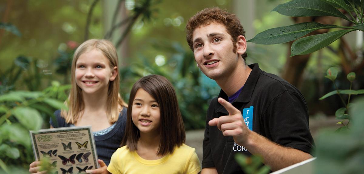 imls-strategic-plan-hero