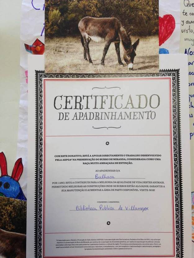 38609046350_87208cb00e_b_d