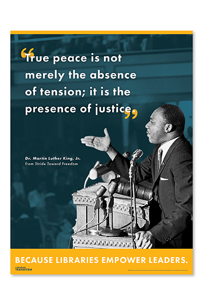store-image-store-mlk-libraries-transform-poster