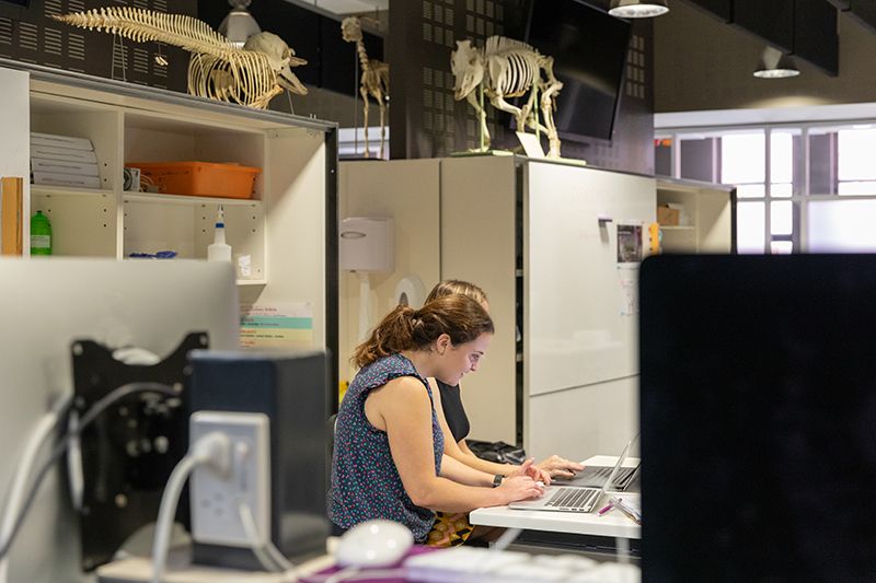 d41586-018-07879-9_16355636