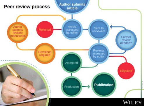 peer20review20process