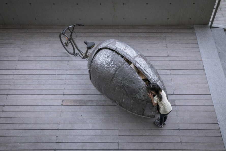 shared-lady-beetle16-looking-through-the-slightly-open-shell-889x592