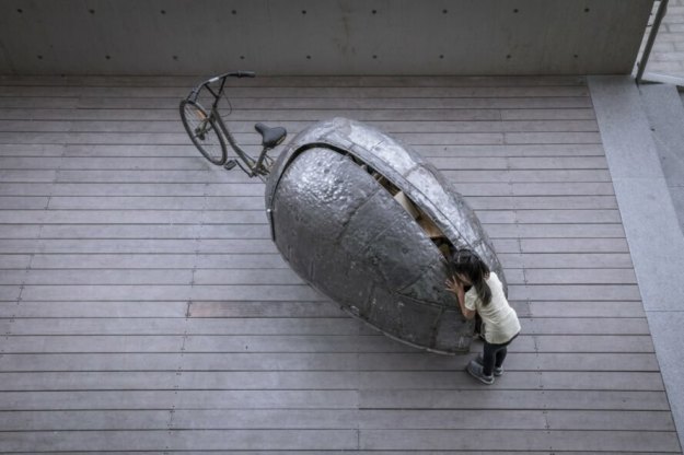 shared-lady-beetle16-looking-through-the-slightly-open-shell-889x592