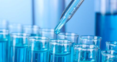 d6b9eb905870fa4282686b2fc5b99a01_xl