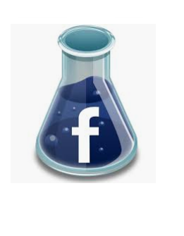 810f13cb08ff17254079afe254859953