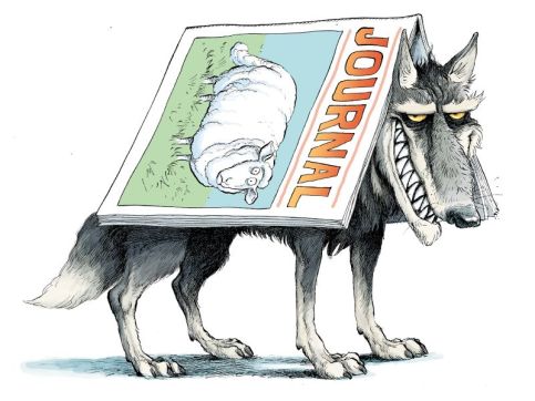 d41586-019-03759-y_17468170