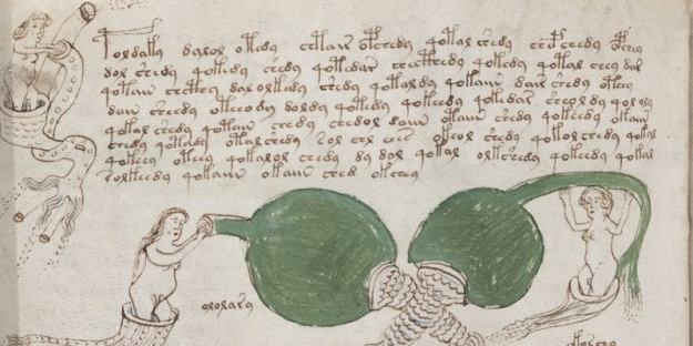 voynich-1