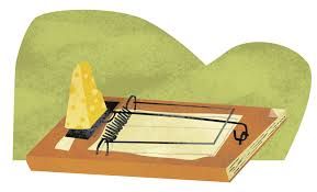 a0c9546fcd1cb12cd4623c76504d5b6d