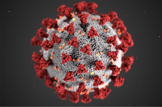 coronavirus-credit-cdc