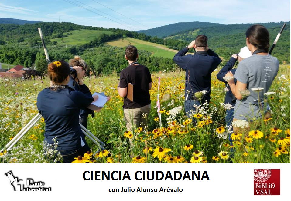 aa08ecb724a16639a54bc0669f88245d