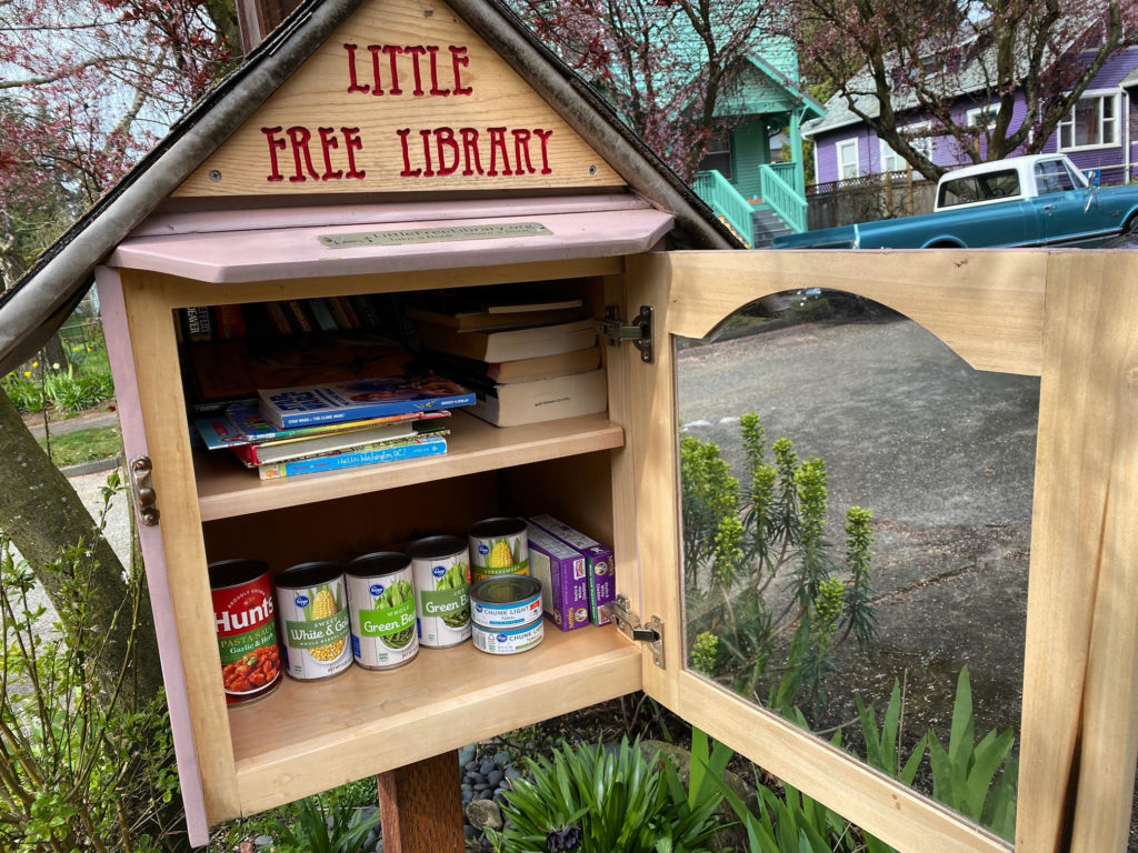 little_libraries-1024x768-1