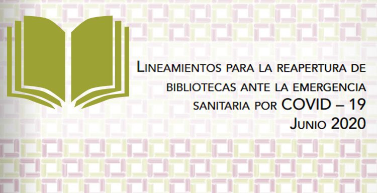 lineamientos-copia-750x384-1